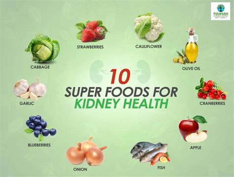 Top 10 foods for optimal liver and kidney health